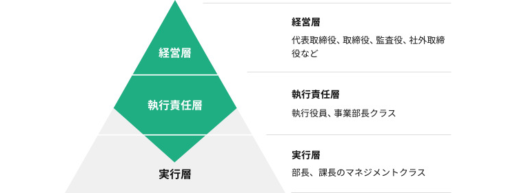 プロフェッショナルバンクのエグゼクティブサーチ層のピラミッド図