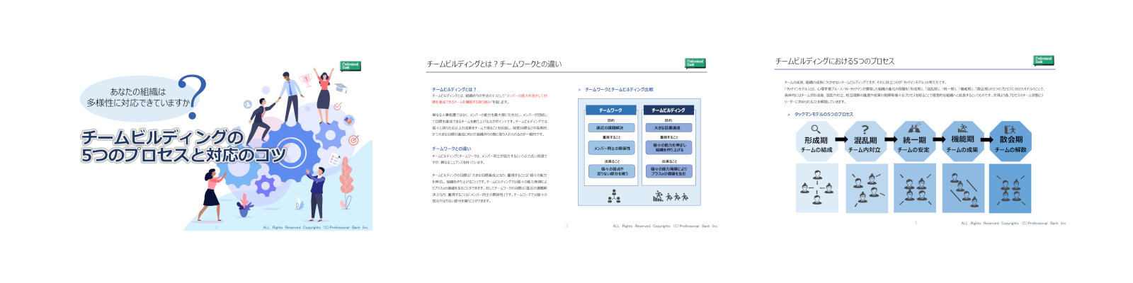 あなたの組織は多様性に対応できていますか？チームビルディングの5つのプロセスと対応のコツ